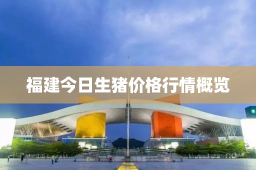 福建今日生豬價格行情概覽
