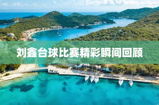 劉鑫臺(tái)球比賽精彩瞬間回顧