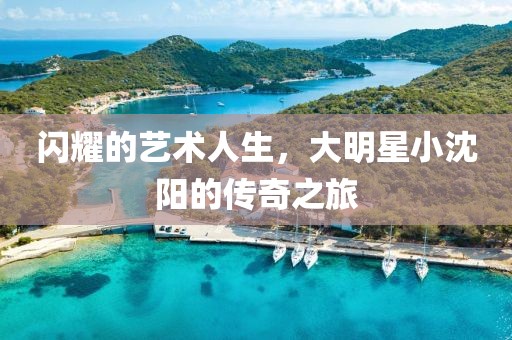 閃耀的藝術(shù)人生，大明星小沈陽的傳奇之旅