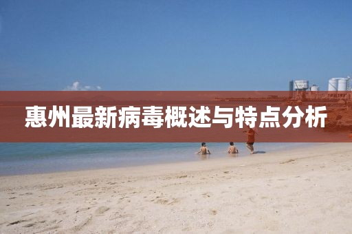 惠州最新病毒概述與特點分析