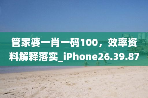 管家婆一肖一碼100，效率資料解釋落實(shí)_iPhone26.39.87