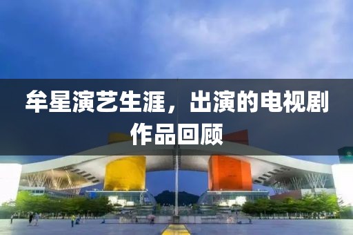 牟星演藝生涯，出演的電視劇作品回顧