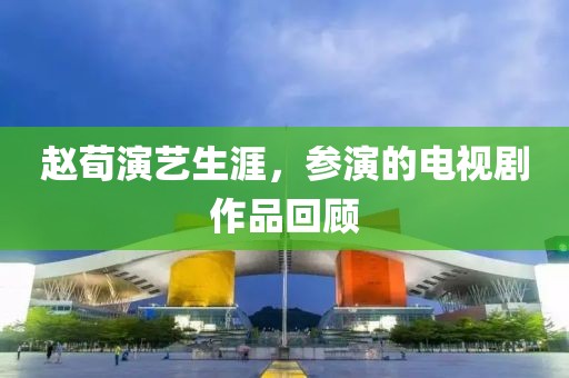 趙荀演藝生涯，參演的電視劇作品回顧