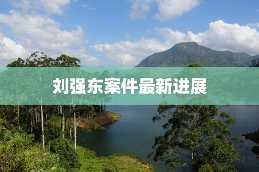 劉強(qiáng)東案件最新進(jìn)展