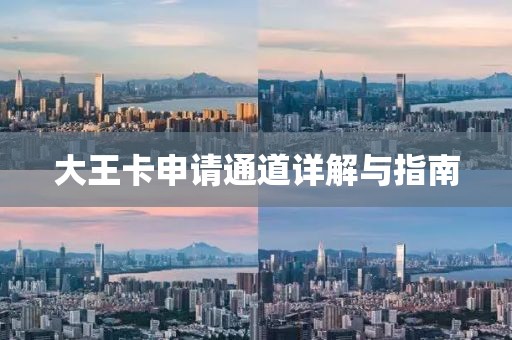 大王卡申請通道詳解與指南