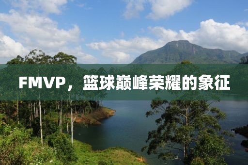 FMVP，籃球巔峰榮耀的象征