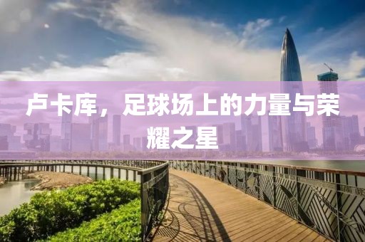 盧卡庫，足球場上的力量與榮耀之星