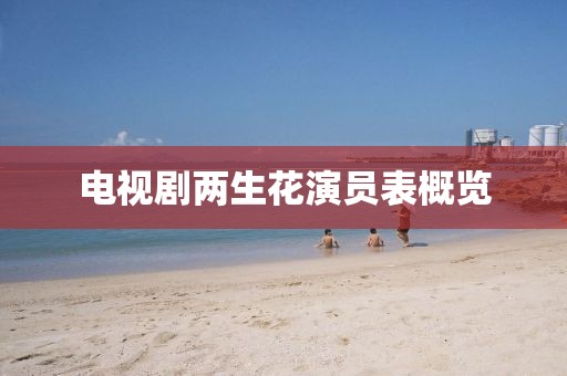 電視劇兩生花演員表概覽