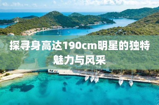 探尋身高達(dá)190cm明星的獨(dú)特魅力與風(fēng)采