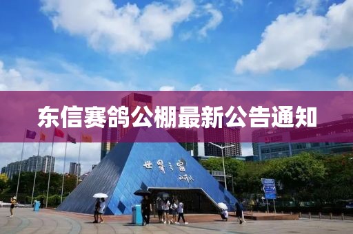 東信賽鴿公棚最新公告通知