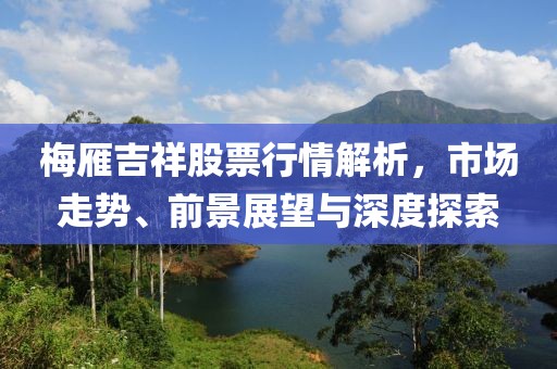 梅雁吉祥股票行情解析，市場走勢、前景展望與深度探索