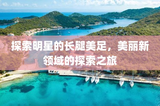 探索明星的長(zhǎng)腿美足，美麗新領(lǐng)域的探索之旅