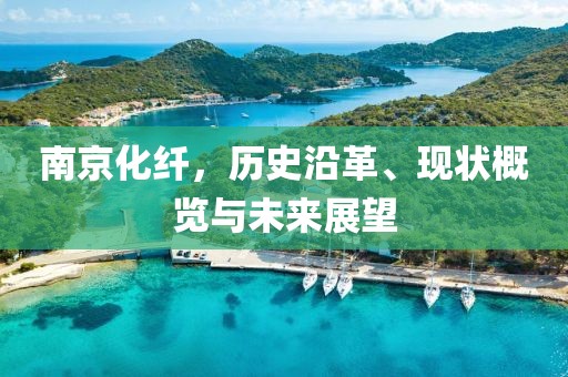 南京化纖，歷史沿革、現(xiàn)狀概覽與未來(lái)展望