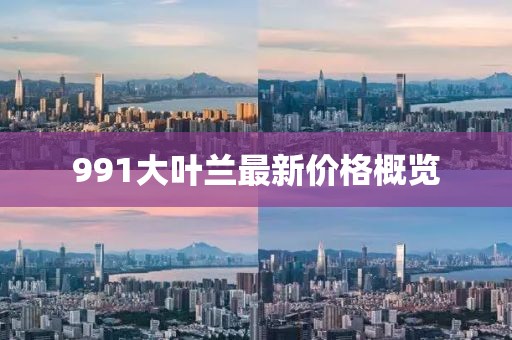 991大葉蘭最新價(jià)格概覽