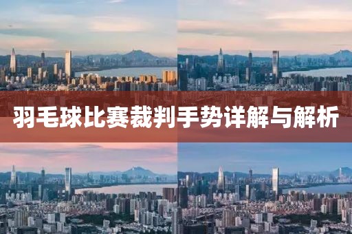 羽毛球比賽裁判手勢詳解與解析