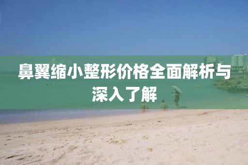 鼻翼縮小整形價(jià)格全面解析與深入了解