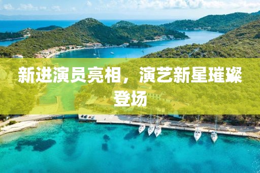 新進(jìn)演員亮相，演藝新星璀璨登場(chǎng)