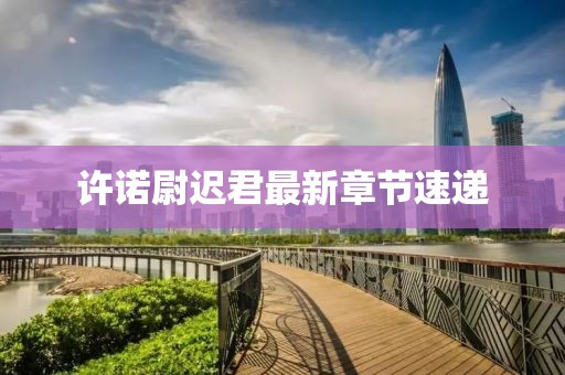 許諾尉遲君最新章節(jié)速遞