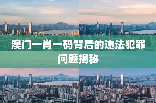 澳門一肖一碼背后的違法犯罪問題揭秘