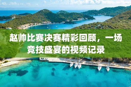 趙帥比賽決賽精彩回顧，一場競技盛宴的視頻記錄