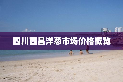 四川西昌洋蔥市場價格概覽