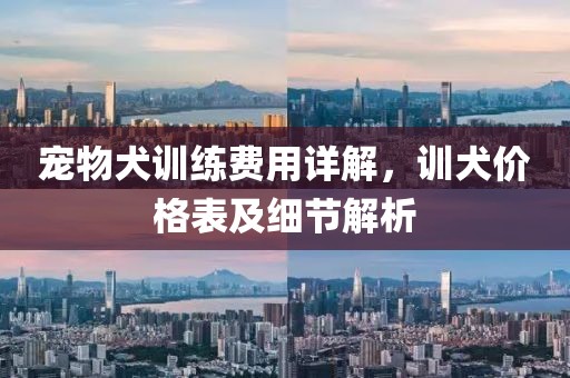 寵物犬訓(xùn)練費用詳解，訓(xùn)犬價格表及細節(jié)解析