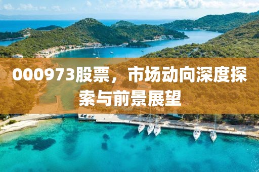 000973股票，市場動向深度探索與前景展望