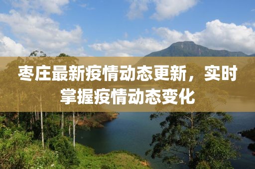 棗莊最新疫情動態(tài)更新，實時掌握疫情動態(tài)變化