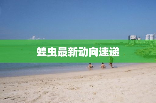 蝗蟲最新動向速遞