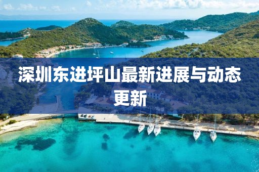 深圳東進坪山最新進展與動態(tài)更新
