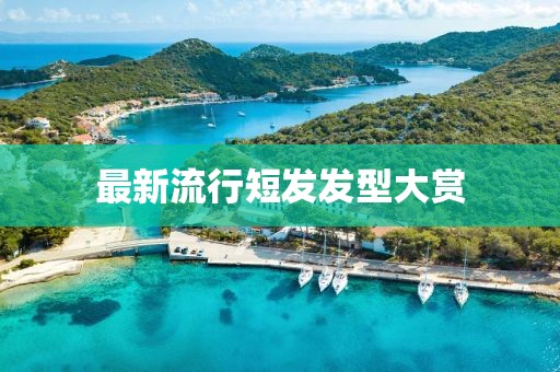 最新流行短發(fā)發(fā)型大賞
