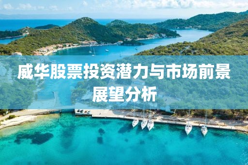 威華股票投資潛力與市場(chǎng)前景展望分析