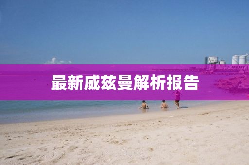 最新威茲曼解析報告