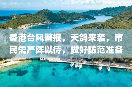 香港臺(tái)風(fēng)警報(bào)，天鴿來(lái)襲，市民需嚴(yán)陣以待，做好防范準(zhǔn)備