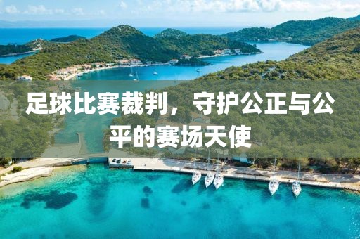 足球比賽裁判，守護(hù)公正與公平的賽場天使