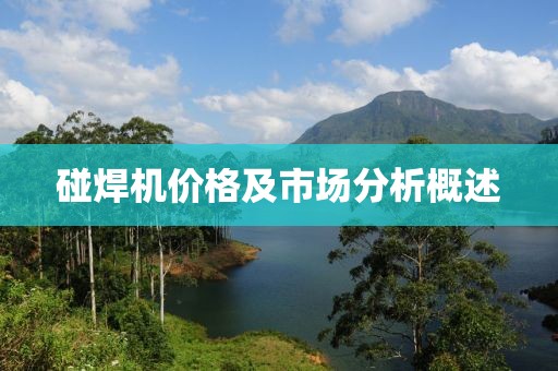 碰焊機(jī)價(jià)格及市場(chǎng)分析概述