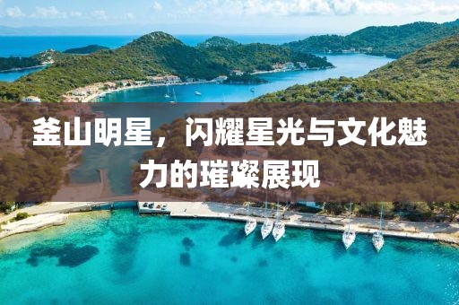 釜山明星，閃耀星光與文化魅力的璀璨展現(xiàn)