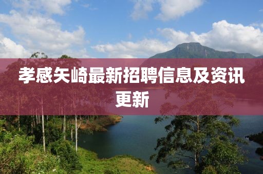 孝感矢崎最新招聘信息及資訊更新