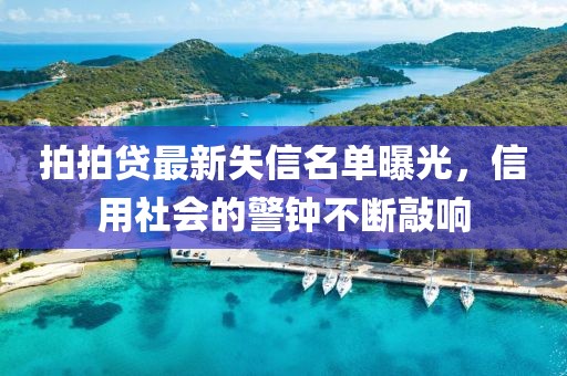 拍拍貸最新失信名單曝光，信用社會(huì)的警鐘不斷敲響