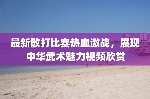 最新散打比賽熱血激戰(zhàn)，展現(xiàn)中華武術(shù)魅力視頻欣賞