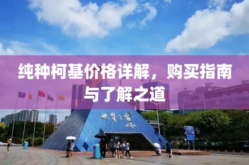 純種柯基價格詳解，購買指南與了解之道