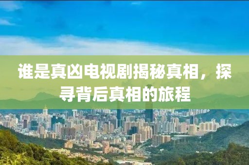 誰(shuí)是真兇電視劇揭秘真相，探尋背后真相的旅程