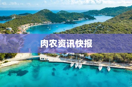 肉農(nóng)資訊快報(bào)