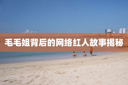 毛毛姐背后的網(wǎng)絡(luò)紅人故事揭秘