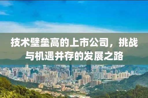 技術(shù)壁壘高的上市公司，挑戰(zhàn)與機(jī)遇并存的發(fā)展之路