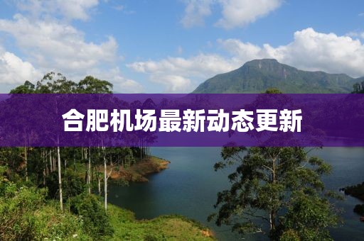 合肥機(jī)場最新動態(tài)更新