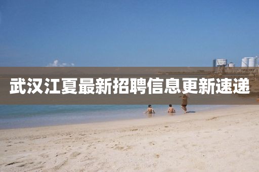 武漢江夏最新招聘信息更新速遞