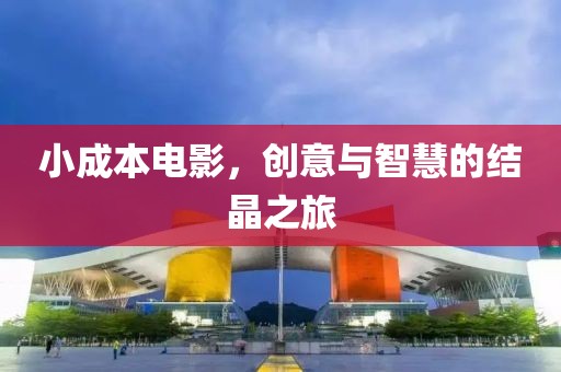 小成本電影，創(chuàng)意與智慧的結(jié)晶之旅