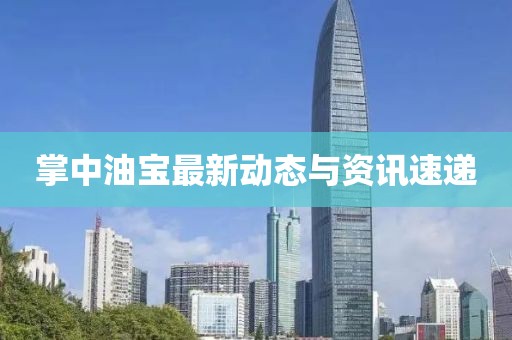掌中油寶最新動(dòng)態(tài)與資訊速遞