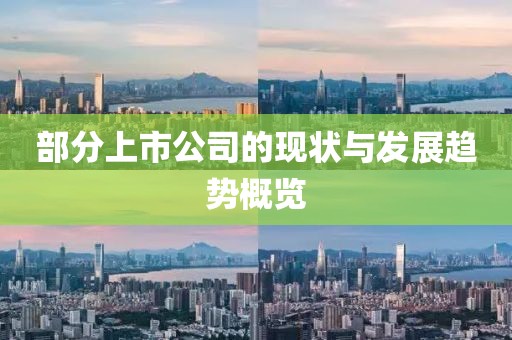 部分上市公司的現(xiàn)狀與發(fā)展趨勢概覽